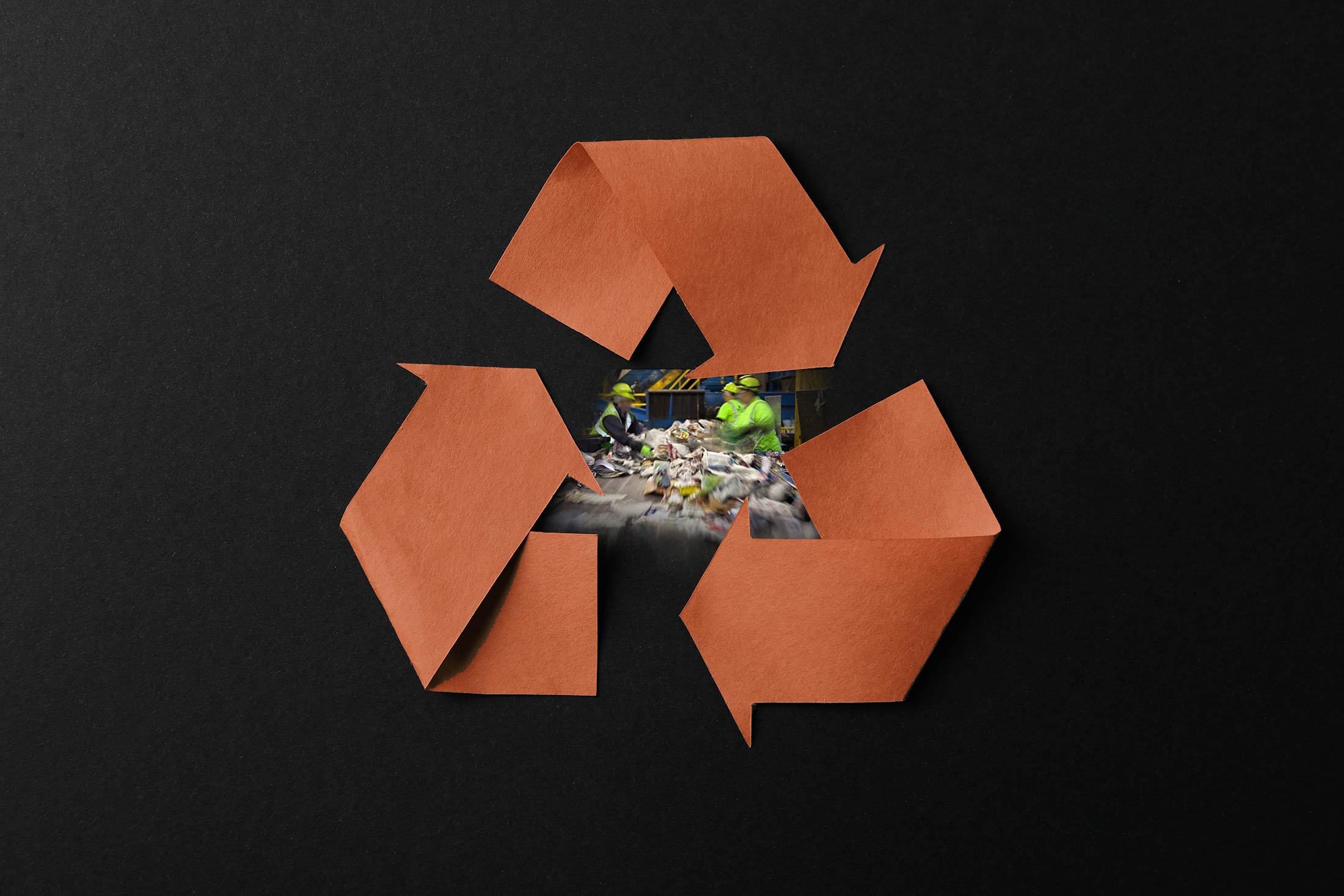 Waste management - Biffa Bins
